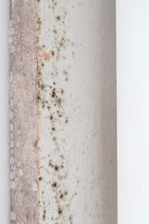 Wall Covered with Mold in a Bathroom with High Humidity Stock Photo ...