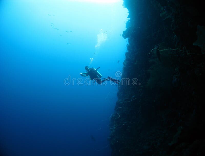 Wall diving stock image. Image of boat, diving, advanced 10539607