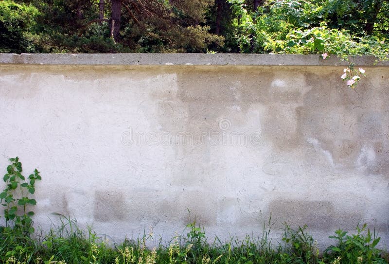 Wall in the forest