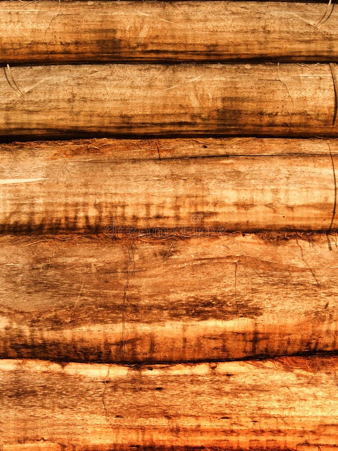 Wall house log tree