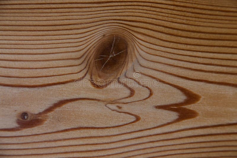 The Wall is Made of Larch Planks Covered with a Colorless Varnish Stock