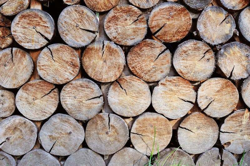 Wall made of stacked wood stock photo. Image of backgrounds - 34015780