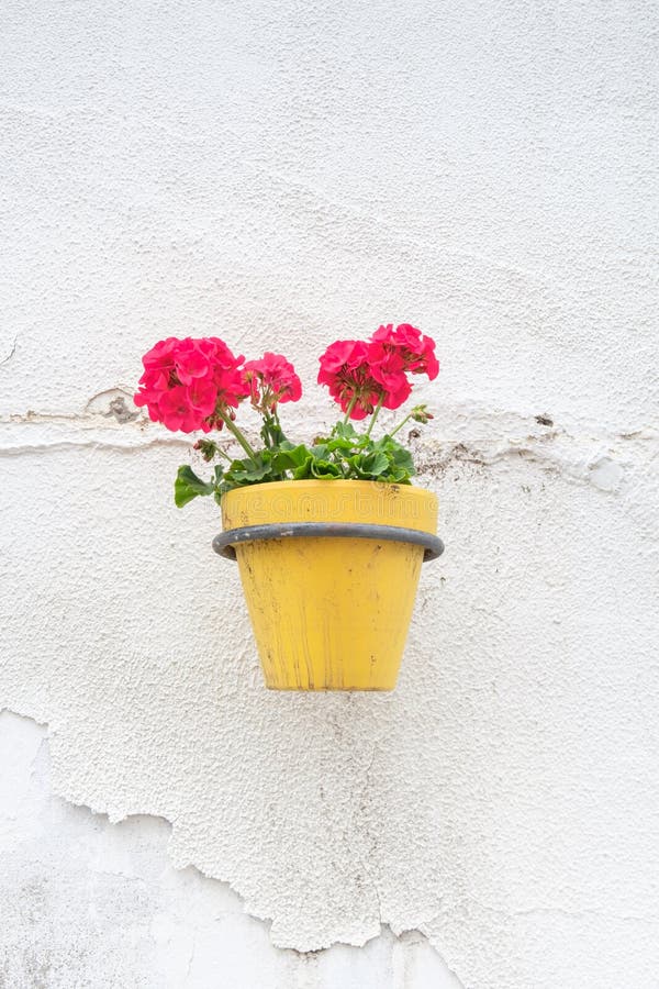 Wall mounted flower pot. stock image. Image of exterior 94017949