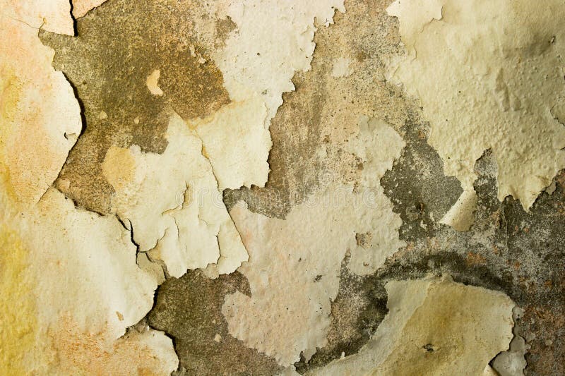 Wall Paint that is Old and Starting To Peel Off Stock Image Image of