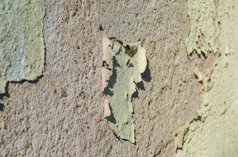 Wall with Peeling Paint, Paint Problem. Inadequate Paint System, Water