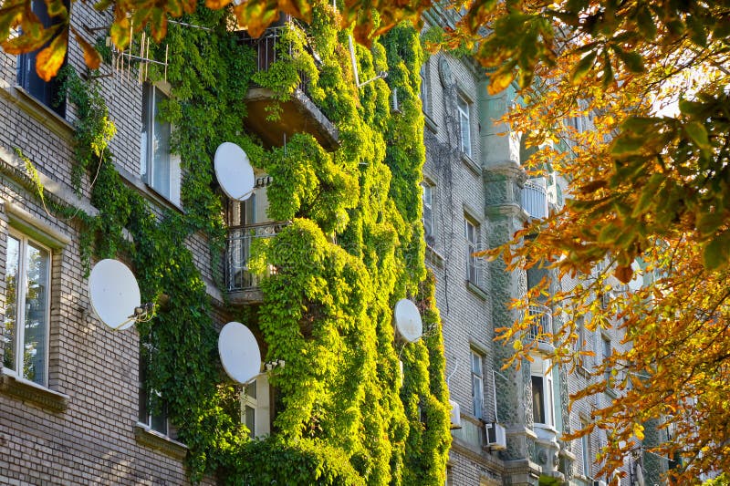 Wall of a white brick building with climbing plants and satellite TV dishes mounted on it