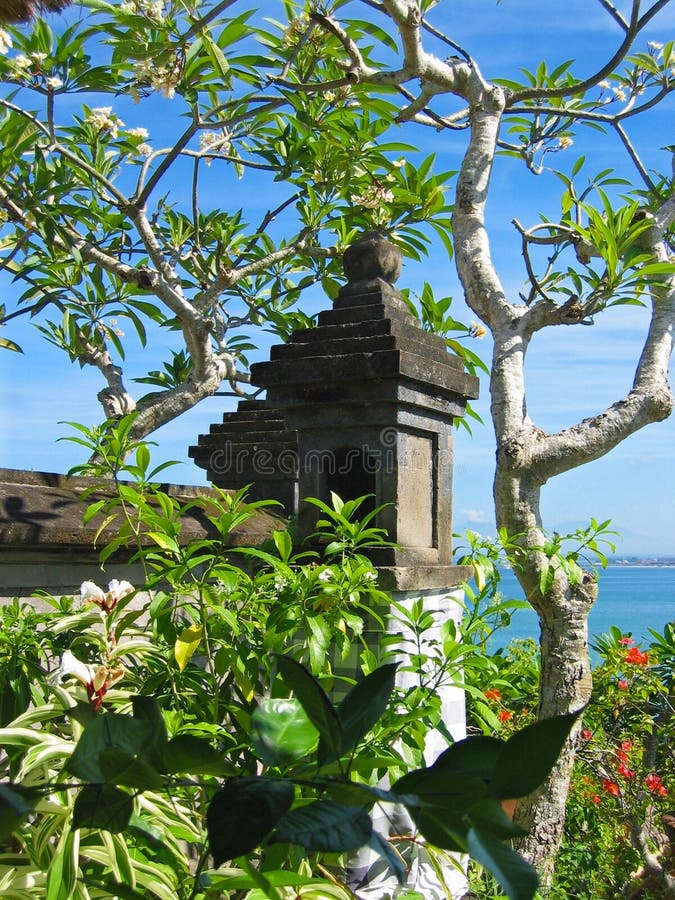 Wall with wild vegetation