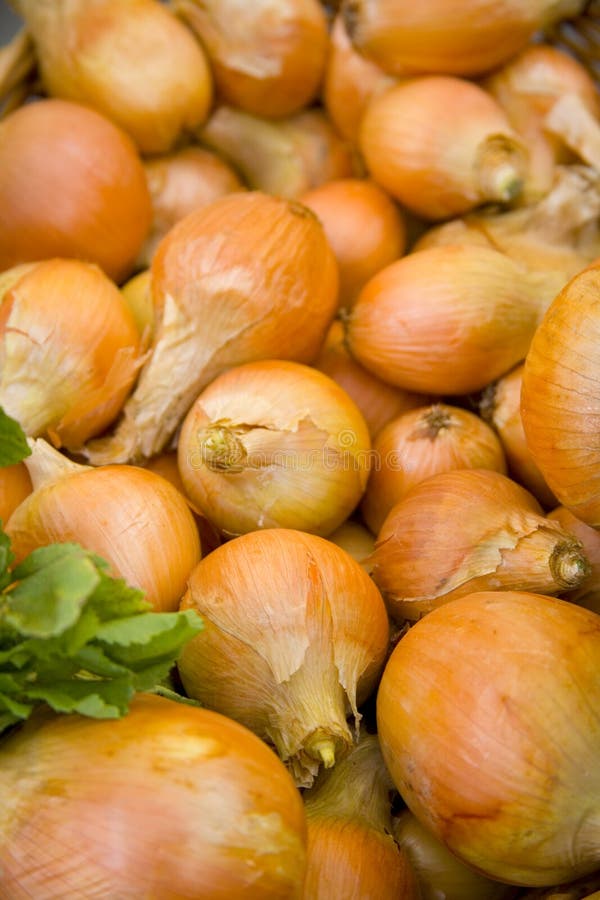 Walla Walla Onions stock image. Image of salad, edible 2647555