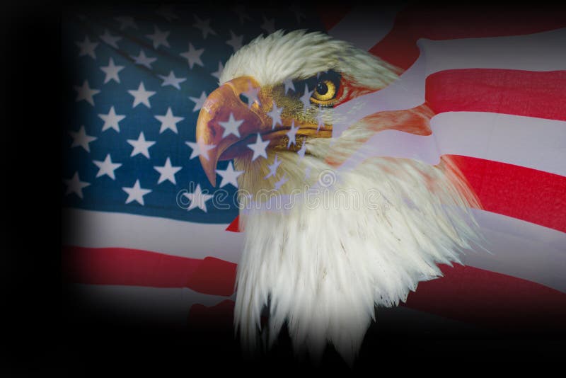 Wallpaper american eagle with USA flag. The best famous american symbol.
