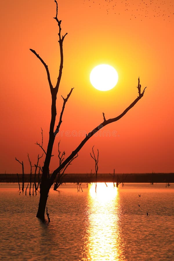 Sfondo su cui si può vedere il tramonto sul Lago di Kariba, tra Zambia e Zimbabwe, in Matusadona Parco Nazionale, in Africa.