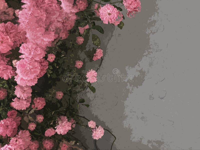 Wallpaper with Pink Roses Over Gray Background Stock Photo Image of