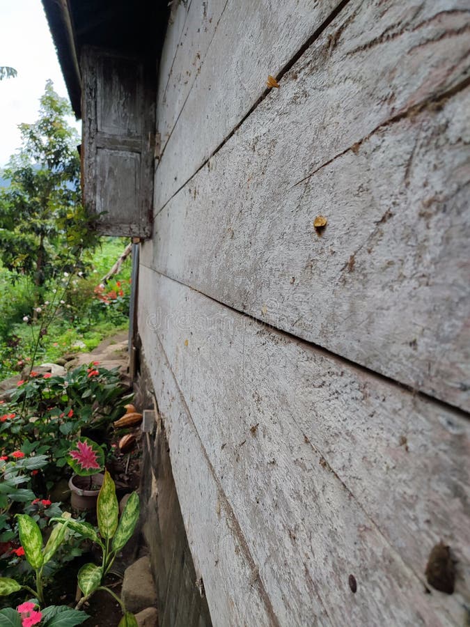 The Walls of the Old House are so Exotic Stock Image Image of rumah