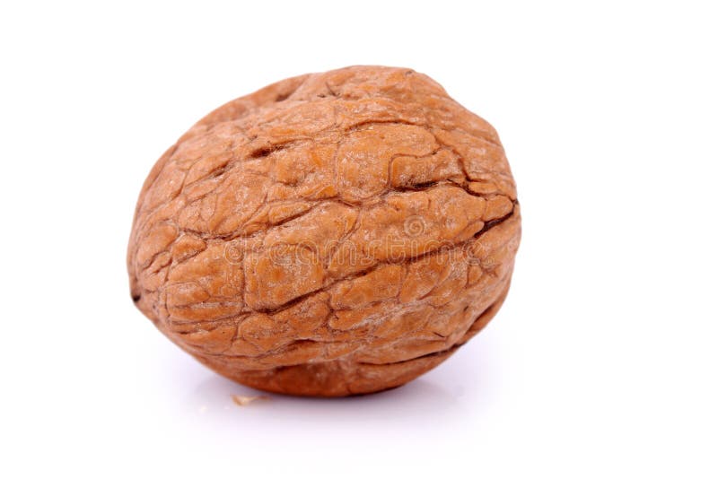 Walnut