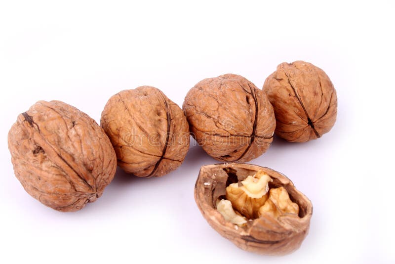 Walnut