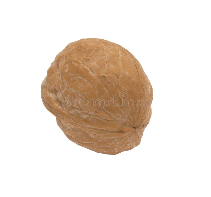 Walnut. stock image. Image of brown, nutshell, macro 15220105