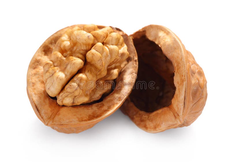 The walnut on white background