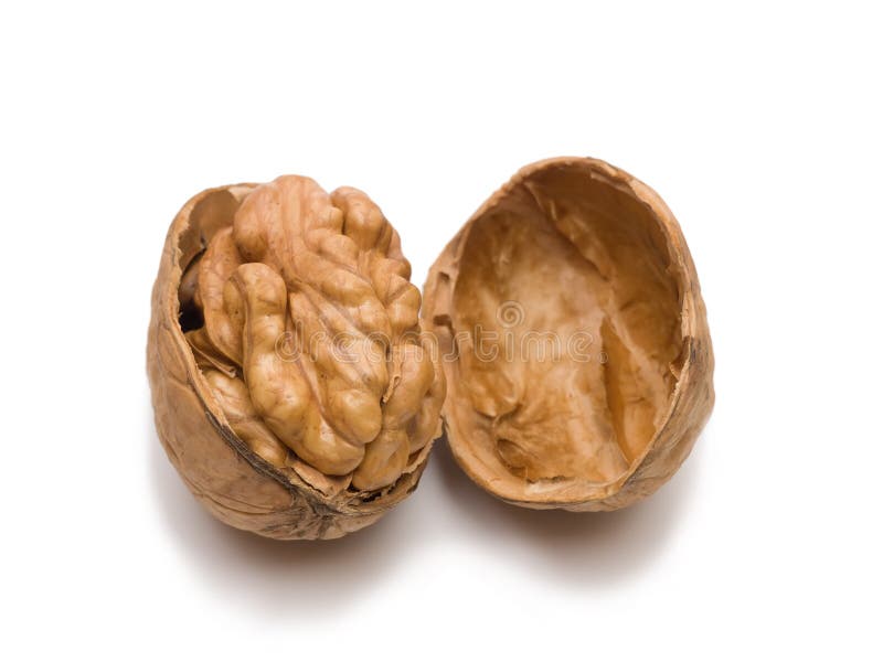 Walnut