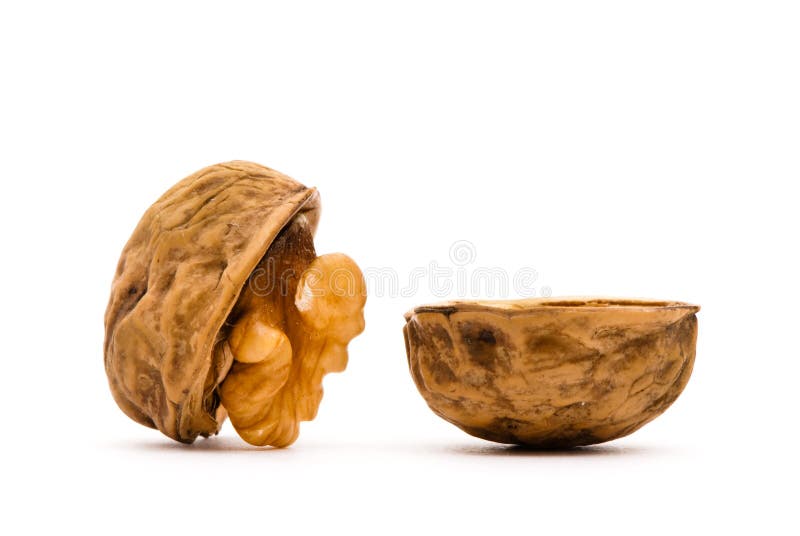 Walnut