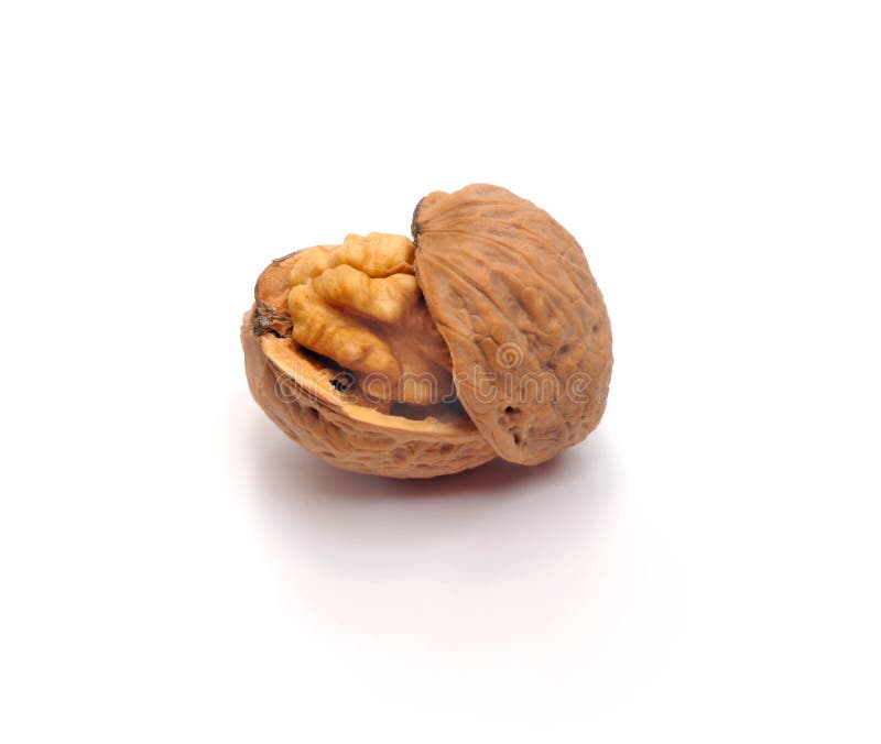 Walnut