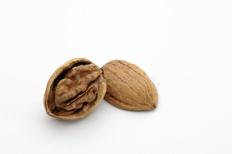 walnut