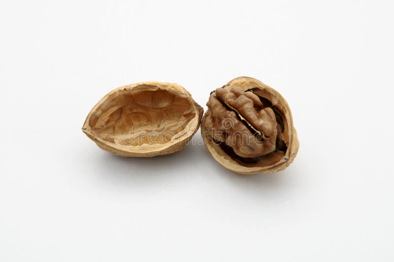 Walnut