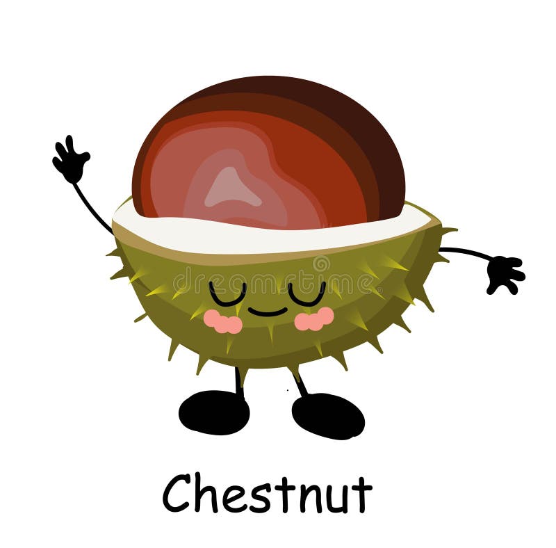 Chestnut Character with Thumbs Up Stock Vector Illustration of hands
