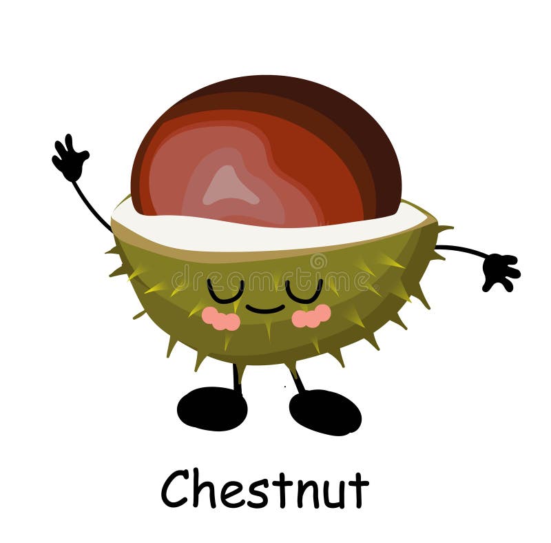 Walnut chestnut. Prickly nut. Vector illustration. Walnut character isolated on white background