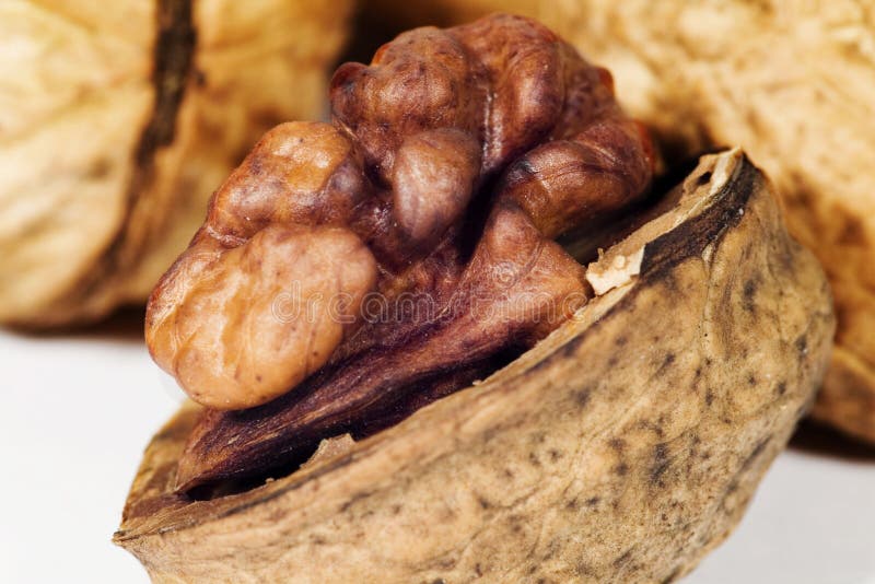 Walnut in closeup