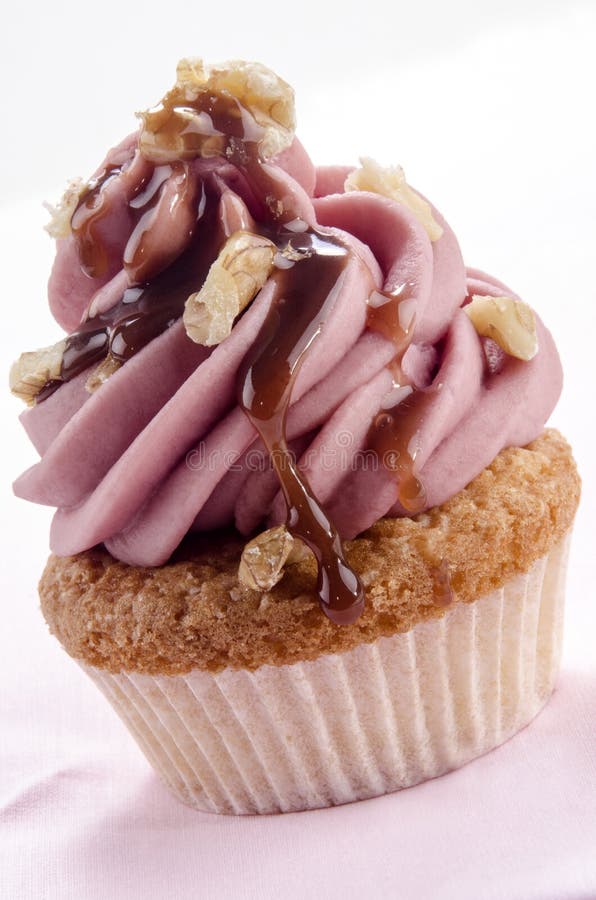 Walnut Cupcake with Dessert Sauce Stock Image Image of sweet, baking