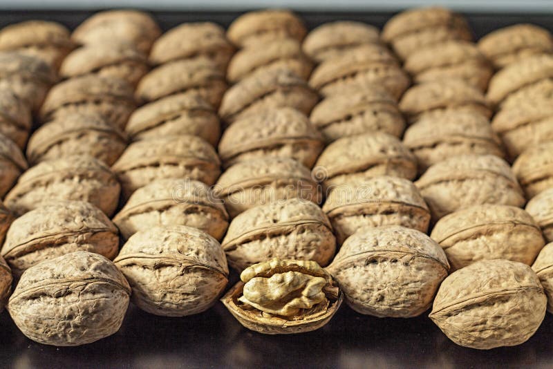 Walnut, Food, Nut, Brown, Healthy, Shell, Snack, Macro Stock Image
