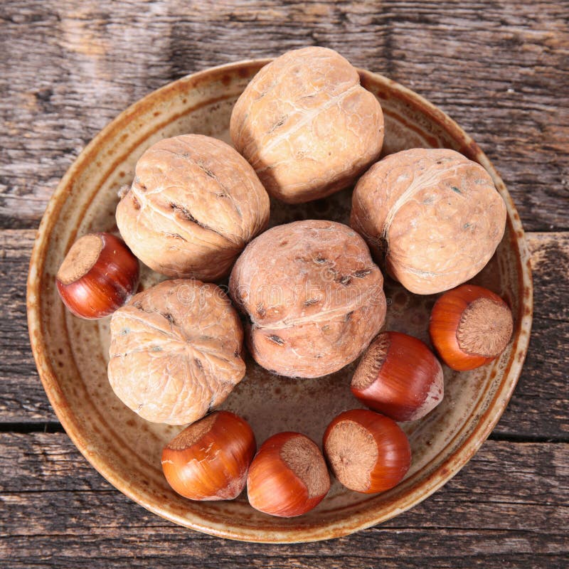 Walnut and hazelnut stock image. Image of autumn, fruit 60264395