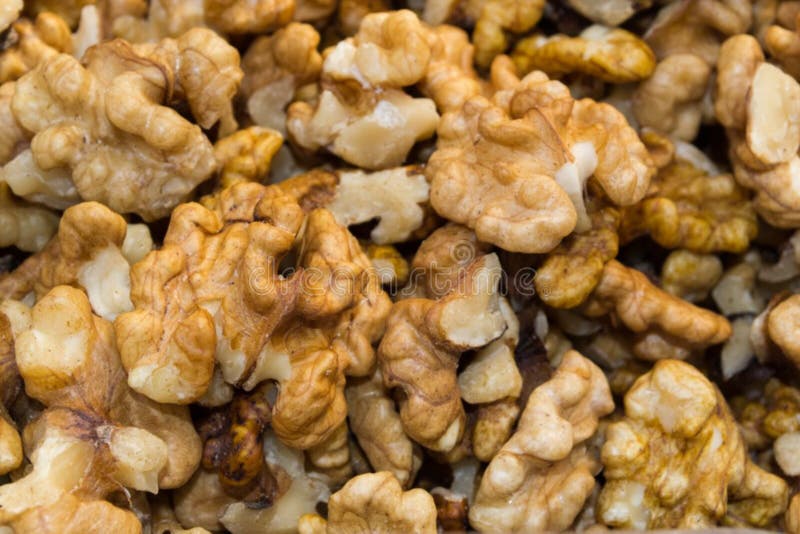 Walnutmeats stock photo. Image of 87859298