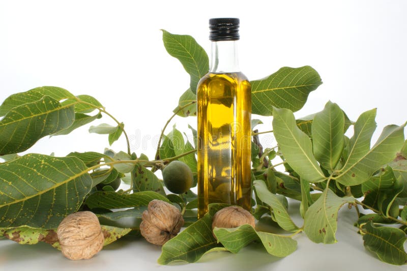 Walnut oil in a bottle stock photo. Image of health, food 10132390