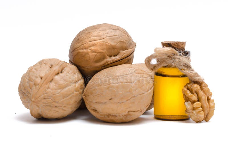 Walnut oil. stock photo. Image of essence, ingredient 133943836