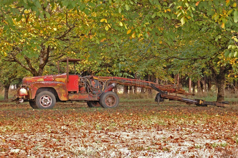 Walnut Shaker Royalty Free Stock Images Image 25483009