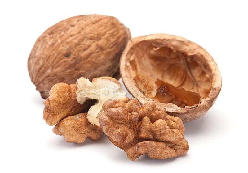 Walnut with shell stock image. Image of seed, shell, walnut 17803657