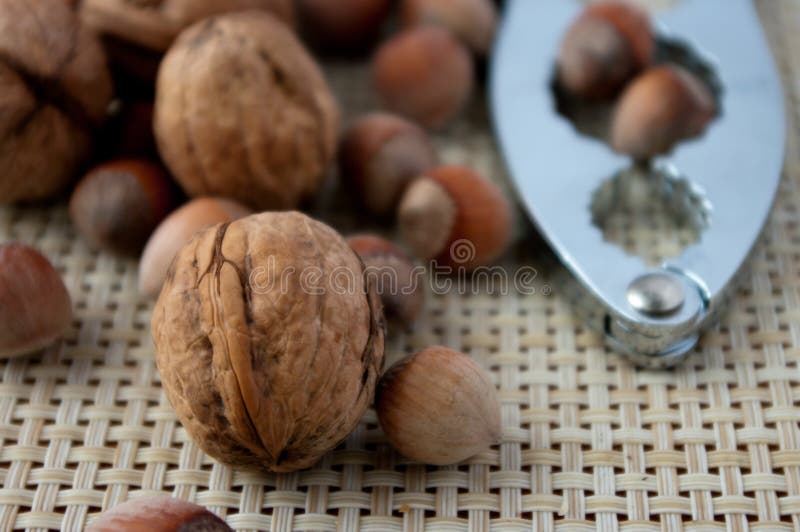 A walnut on the table
