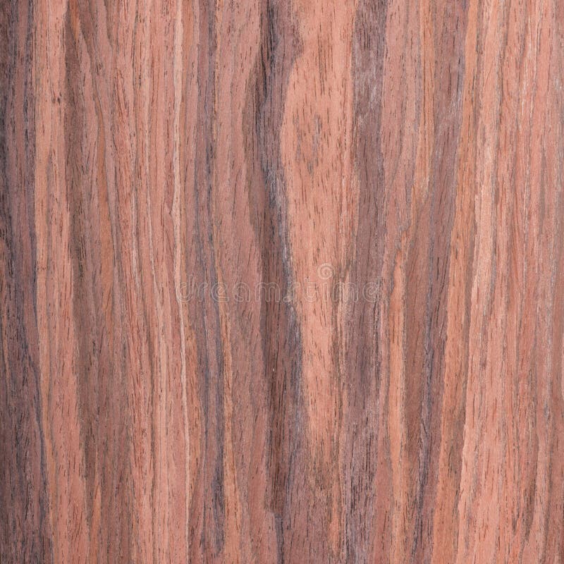 Walnut Wood Grain Texture