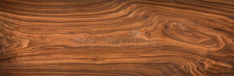 Walnut wood texture. Natural texture background of North American walnut wood board. Long wood plank texture. royalty free stock photography.