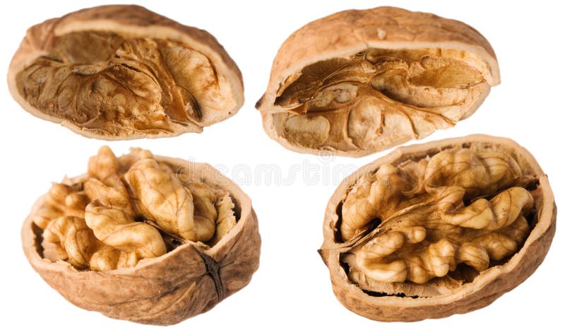 Walnuts