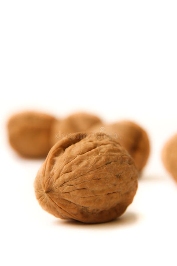 Walnut stock photo. Image of herb, food, walnuts, green 83672