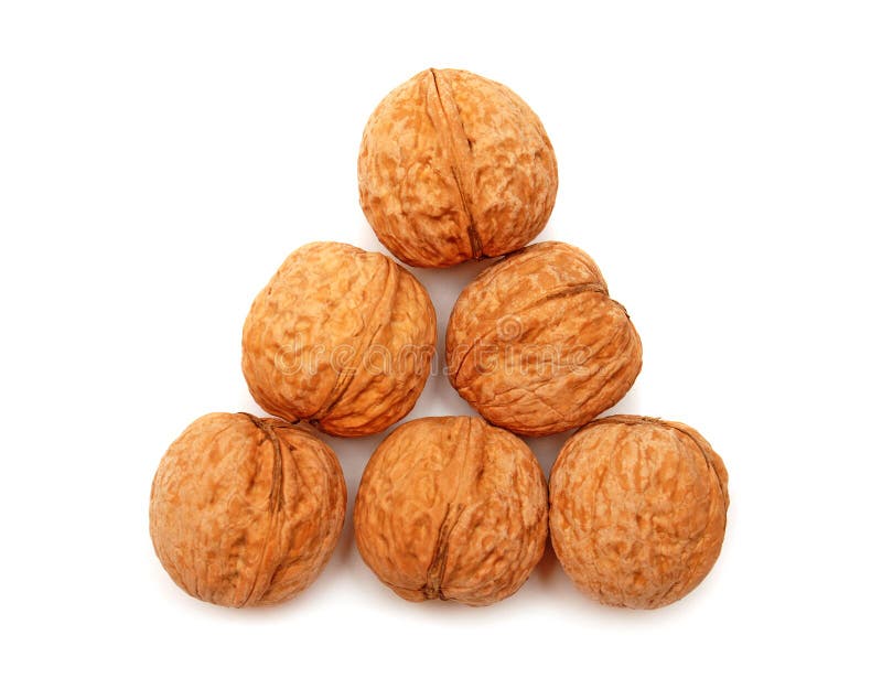Walnuts stock image. Image of natural, ingredient, nutrition 22502317