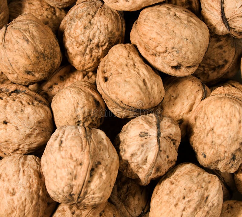 Walnuts stock image. Image of healthy, walnuts, organic 4331227