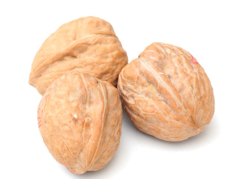 Walnuts stock image. Image of fibre, festive, food, healthy 7544149