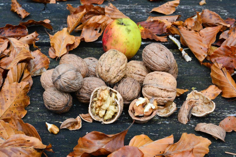 wild apples thoreau wild apples thoreau