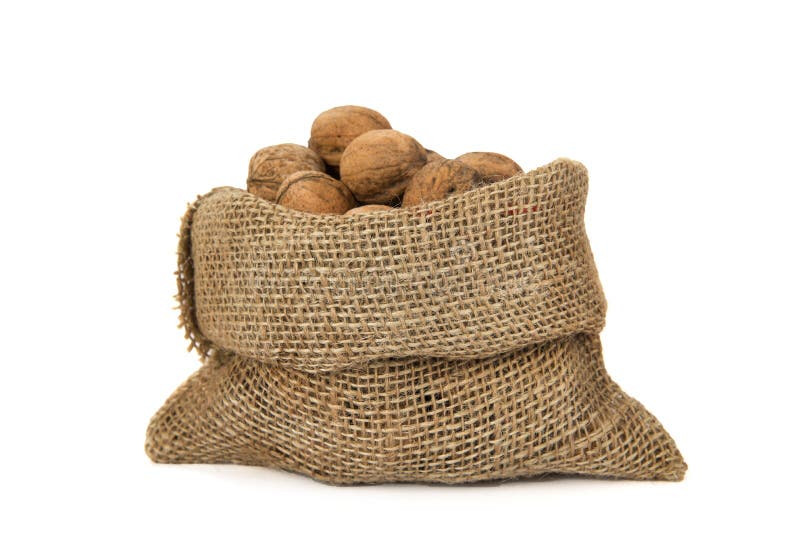 Walnuts in a bag stock photo. Image of walnut, food, shell 51911360
