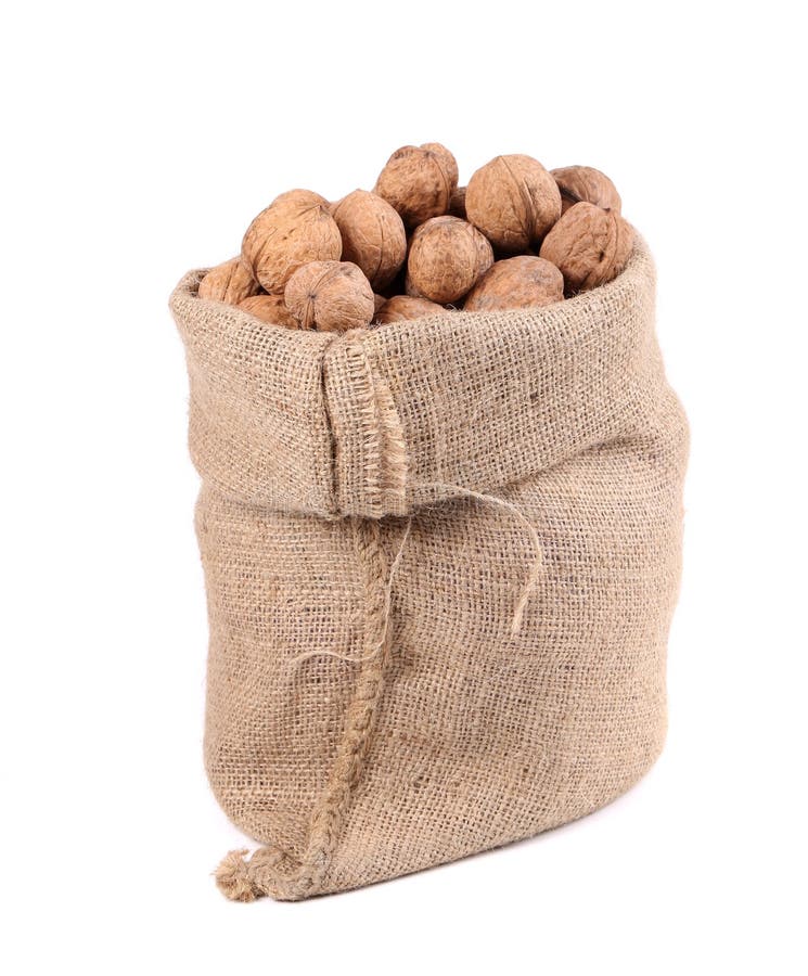 Walnuts in burlap bag. stock photo. Image of isolated 40919876