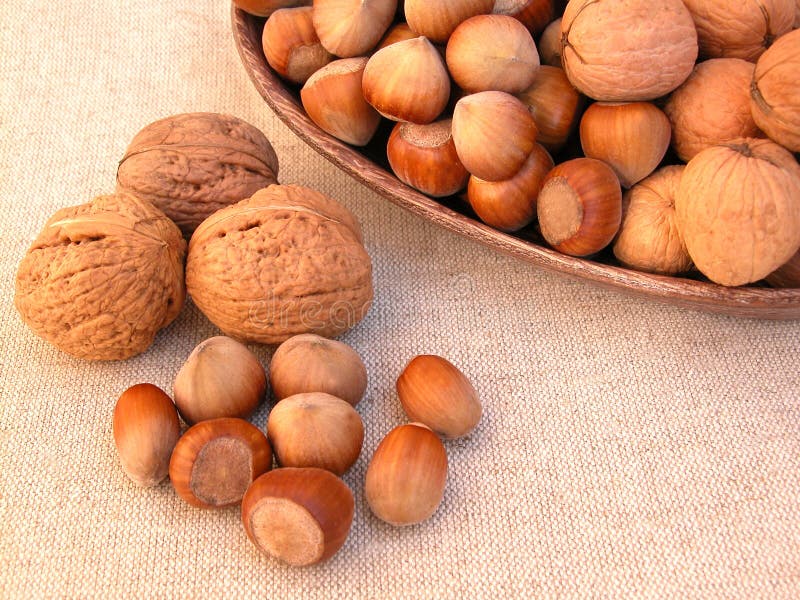 Walnuts and hazelnuts stock photo. Image of food, nuts 273568