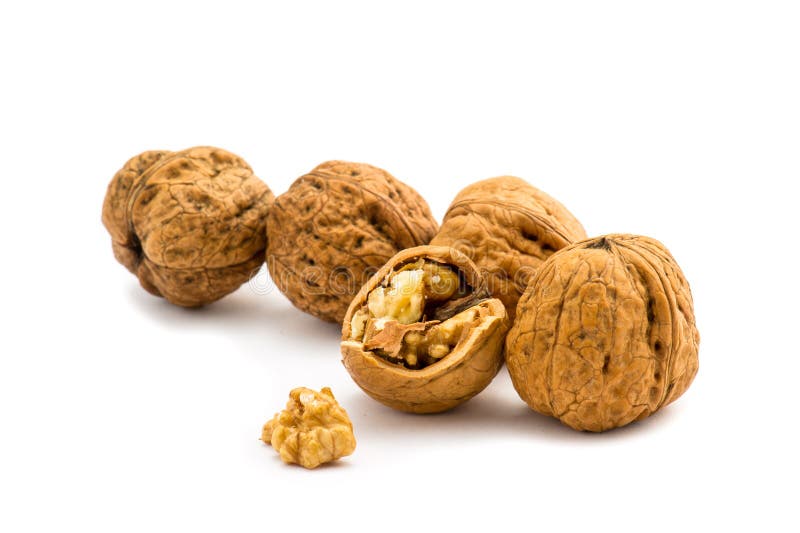 Walnut stock image. Image of energy, walnut, walnuts 14323105