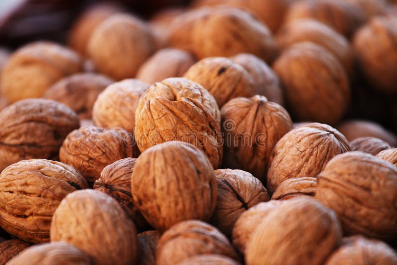 Alce de nueces en El mercado.